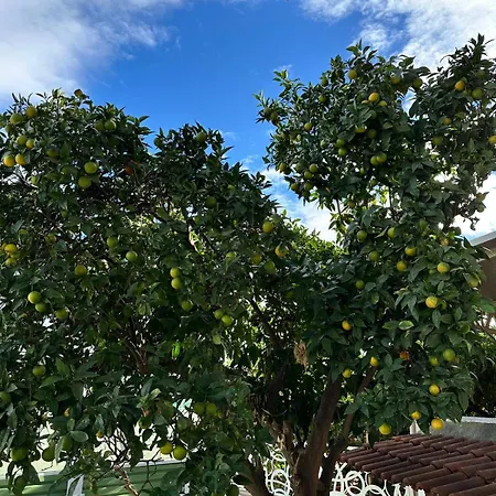 Silvana Pensionat Neapel